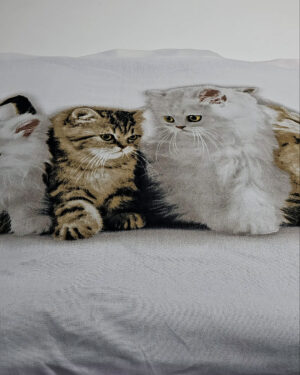 Пледы - Секонд-хенд оптом